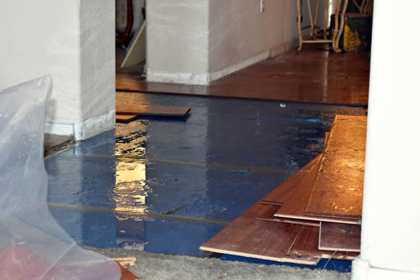Professional Burst Pipe Cleanup technician working in Ford, WA